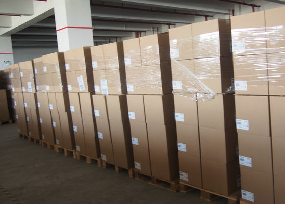 Hong Kong Bonded Storage Warehouse With Value Added Services Customs Clearance